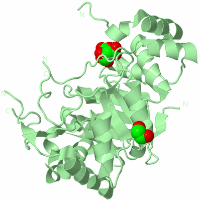 Image Biological Unit 2