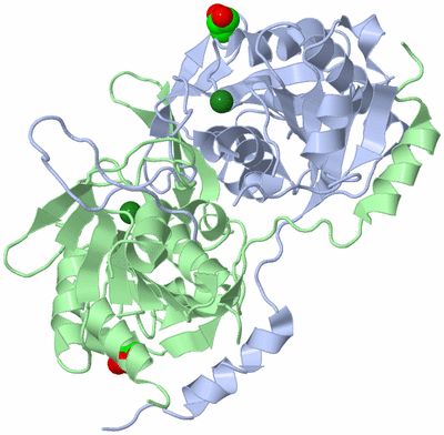 Image Asym./Biol. Unit