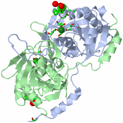 Image Asym./Biol. Unit - sites