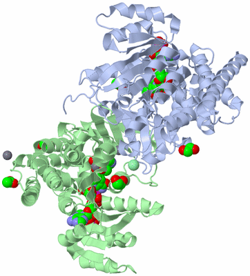 Image Asym./Biol. Unit