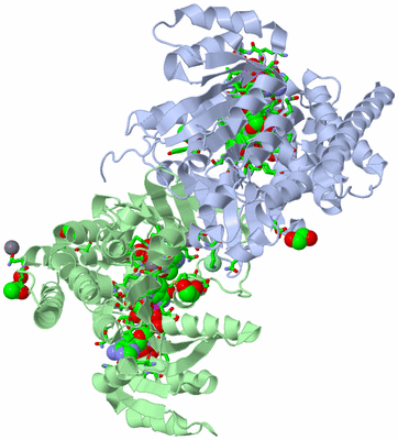 Image Asym./Biol. Unit - sites