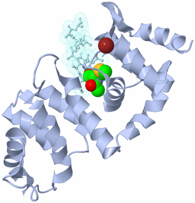 Image Biological Unit 1