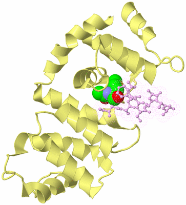 Image Biological Unit 3