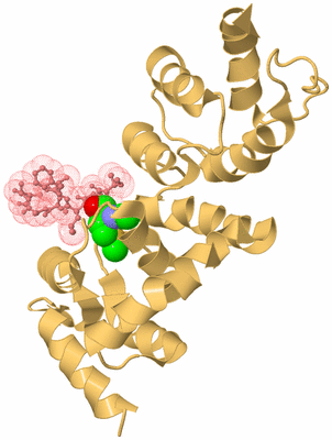 Image Biological Unit 4