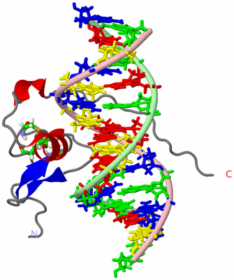 Image NMR Structure - model 1, sites