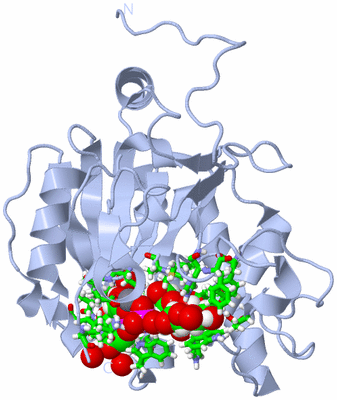 Image Biol. Unit 1 - sites