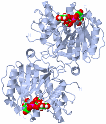 Image Biological Unit 2