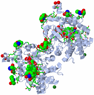 Image Biol. Unit 1 - sites