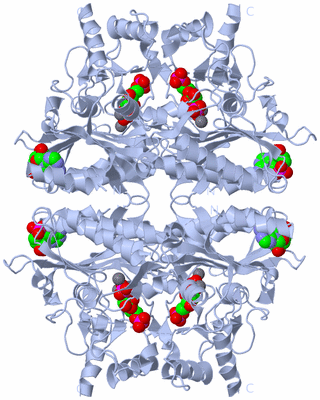 Image Biological Unit 1