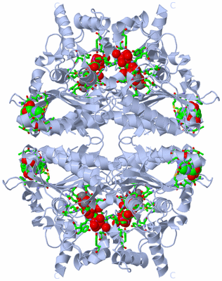 Image Biol. Unit 1 - sites