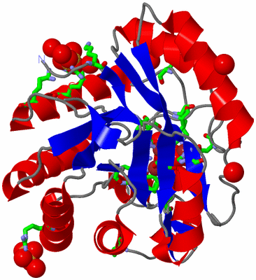 Image Asym./Biol. Unit - sites