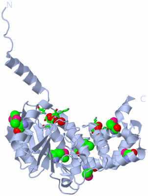 Image Biol. Unit 1 - sites