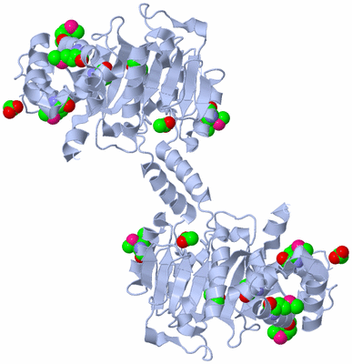 Image Biological Unit 2