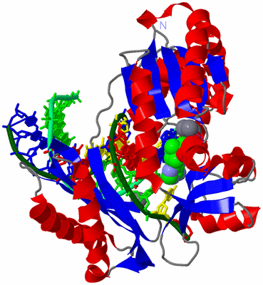 Image Asym./Biol. Unit