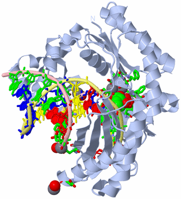 Image Biol. Unit 1 - sites