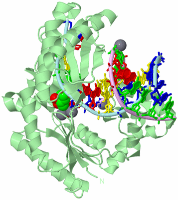 Image Biological Unit 2