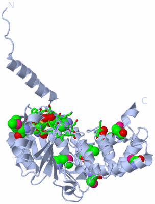 Image Biol. Unit 1 - sites