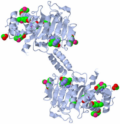 Image Biological Unit 2