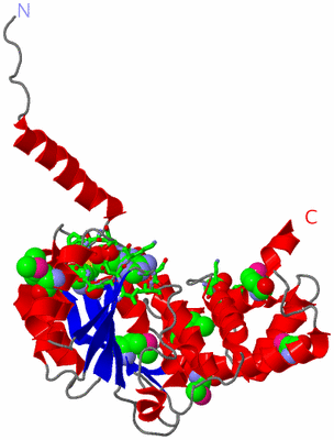 Image Asym. Unit - sites