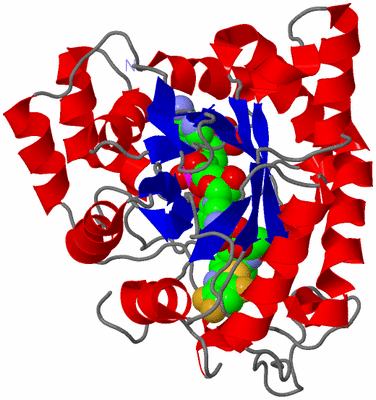 Image Asym./Biol. Unit