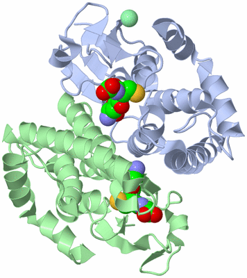 Image Asym./Biol. Unit