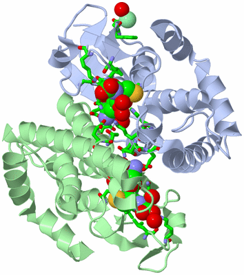 Image Asym./Biol. Unit - sites