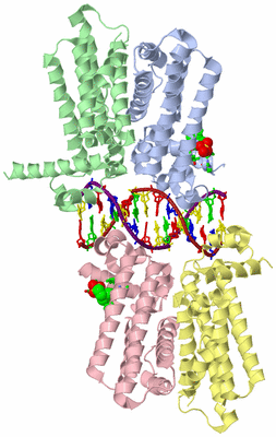 Image Biol. Unit 1 - sites