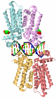 Image Biological Unit 2