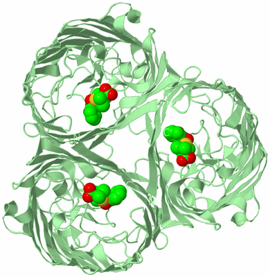 Image Biological Unit 2