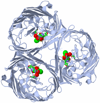 Image Biol. Unit 1 - sites