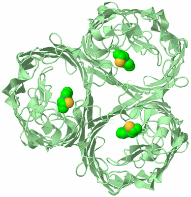 Image Biological Unit 2