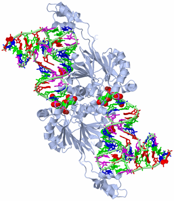 Image Biological Unit 3