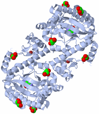 Image Biological Unit 1