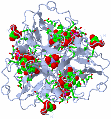 Image Biol. Unit 1 - sites