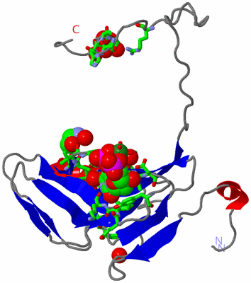 Image Asym. Unit - sites