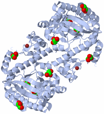 Image Biological Unit 1