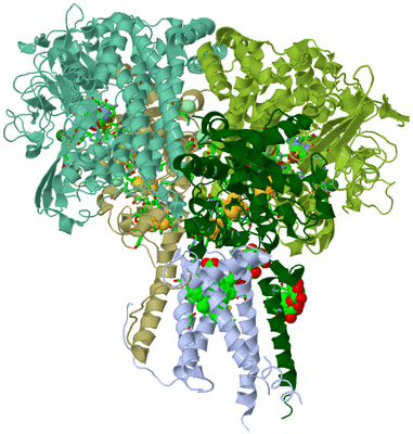 Image Biol. Unit 1 - sites