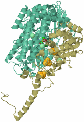 Image Biological Unit 2