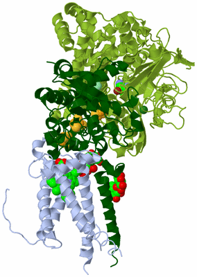 Image Biological Unit 3