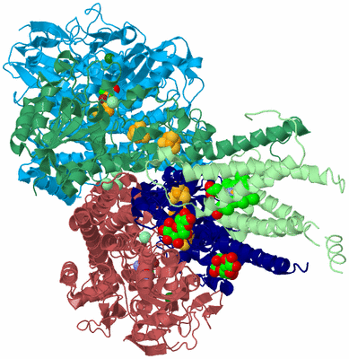 Image Biological Unit 4