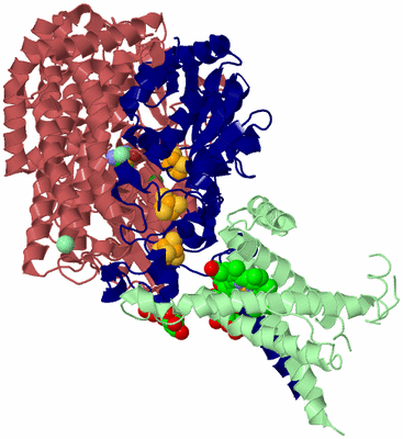 Image Biological Unit 6