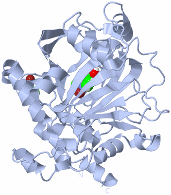 Image Biological Unit 1