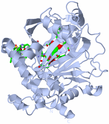 Image Biol. Unit 1 - sites