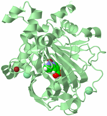 Image Biological Unit 2