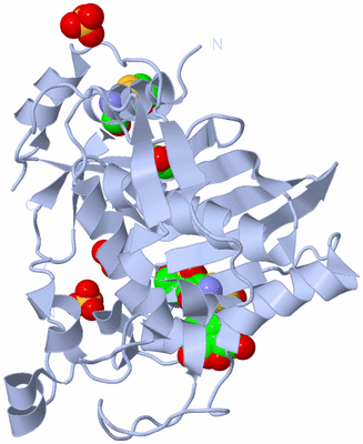 Image Biological Unit 1