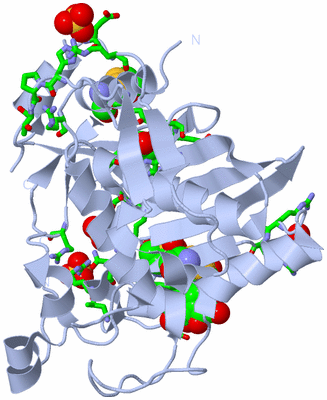 Image Biol. Unit 1 - sites