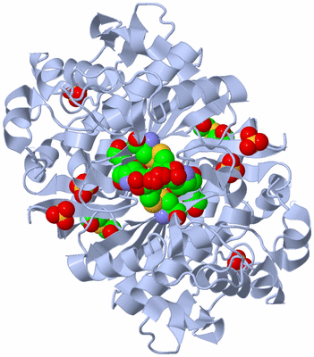 Image Biological Unit 2