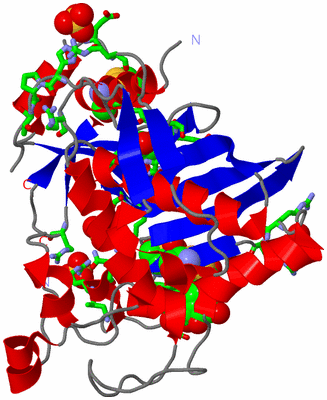 Image Asym. Unit - sites