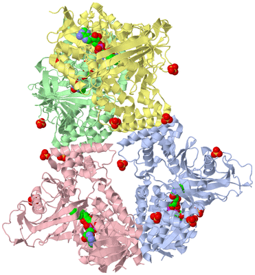 Image Asym./Biol. Unit