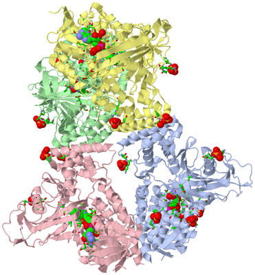 Image Asym./Biol. Unit - sites